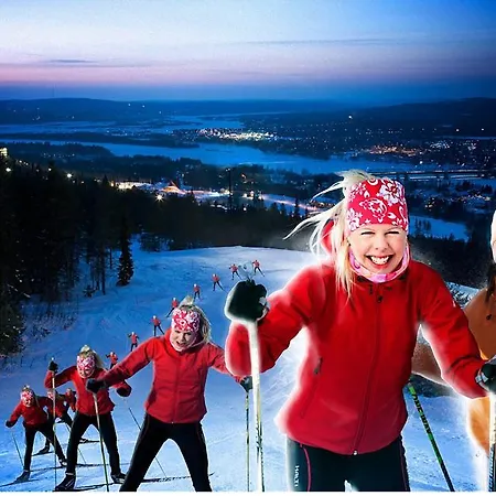 Rovaniemi Apartments *
